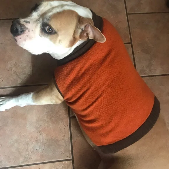 Dog sweater - Picture 1 of 6